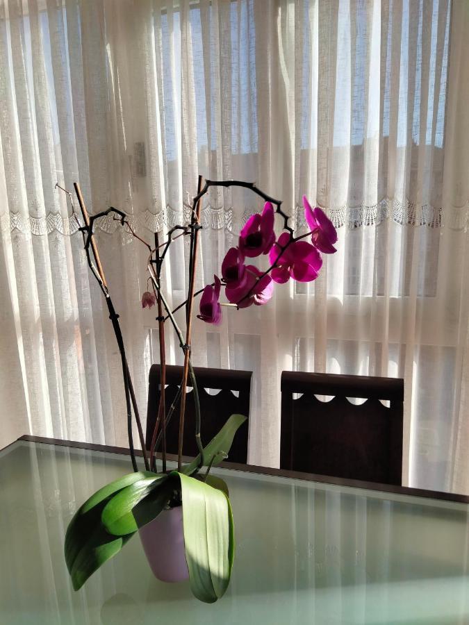 Apartamento Gran Familia